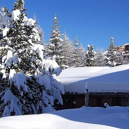 Chalet Les Jonquilles 12p * Mont-de-Lans